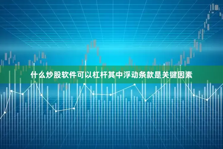 什么炒股软件可以杠杆其中浮动条款是关键因素