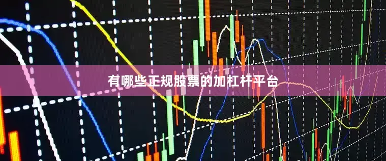有哪些正规股票的加杠杆平台
