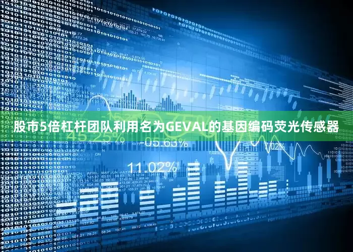 股市5倍杠杆　　团队利用名为GEVAL的基因编码荧光传感器